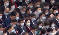 关于美国队引发争议！，Ning官方宣布败北新规观众掌声雷动的信息开云体育在线平台